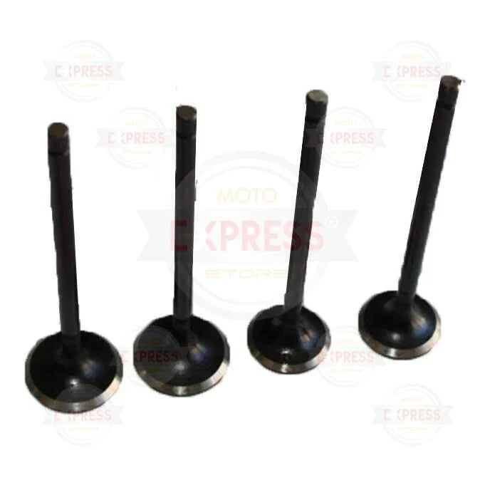 TVS RTR 200 ORİJİNAL SUBAP TAKIMI