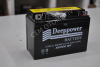 DEEPPOWER 12-6.5 BASIK AKÜ